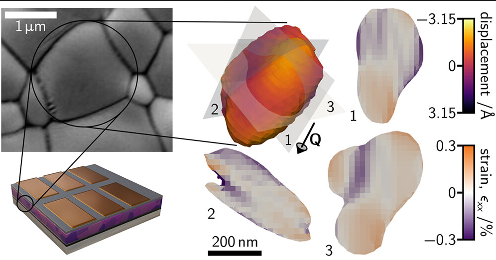 acsenlett_strain_heterogeneity.png