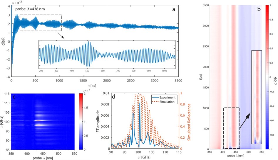 advfm_iiiv_phonons.jpg