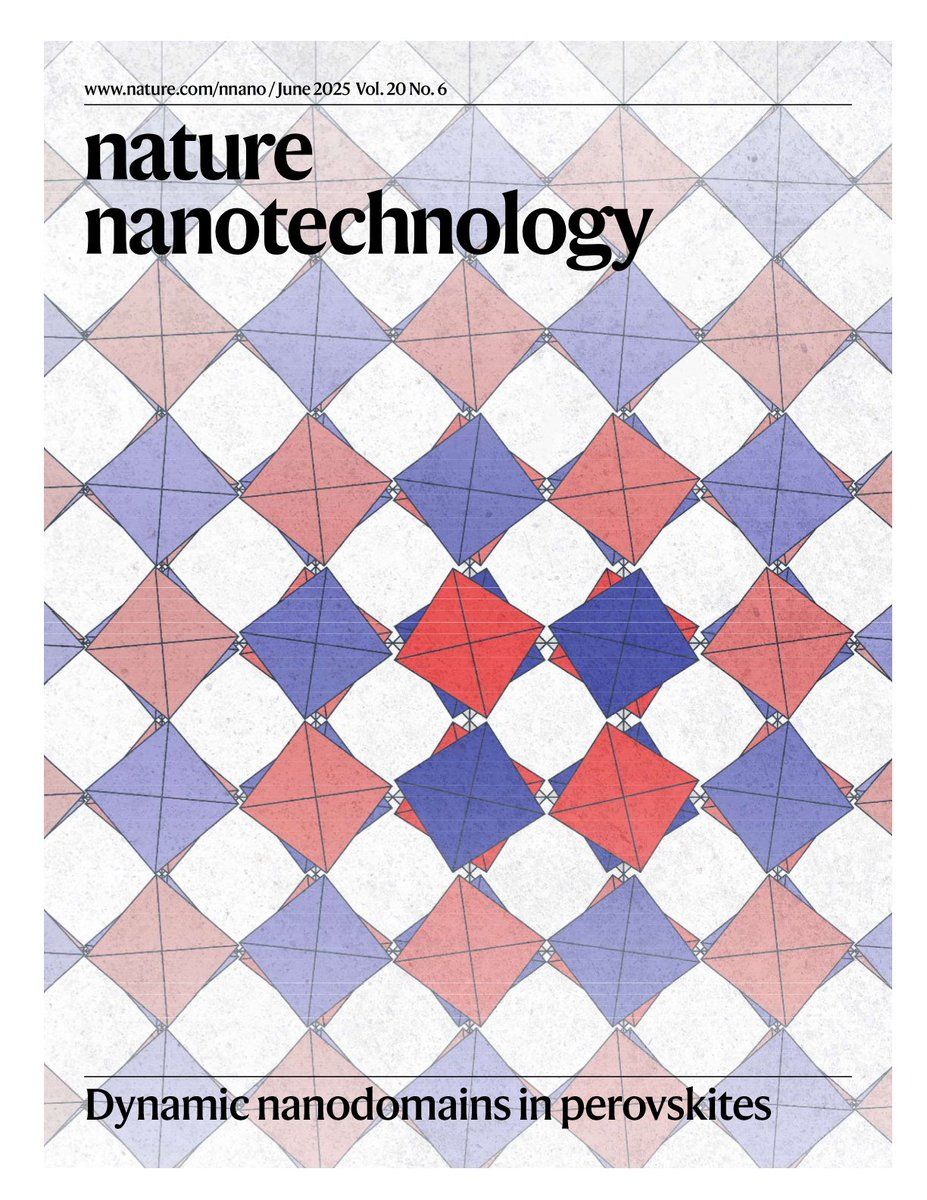 nanodomains_cover.jpg